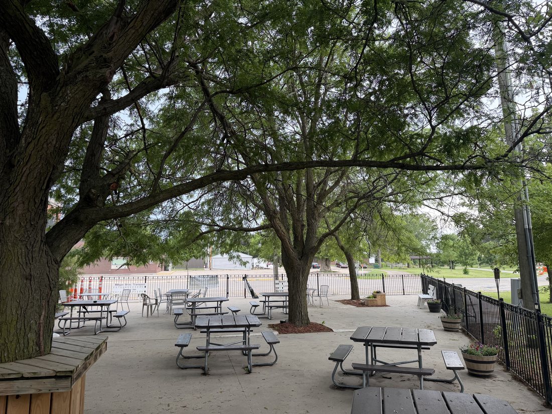 Benola's shaded patio with picnic tables under the big trees