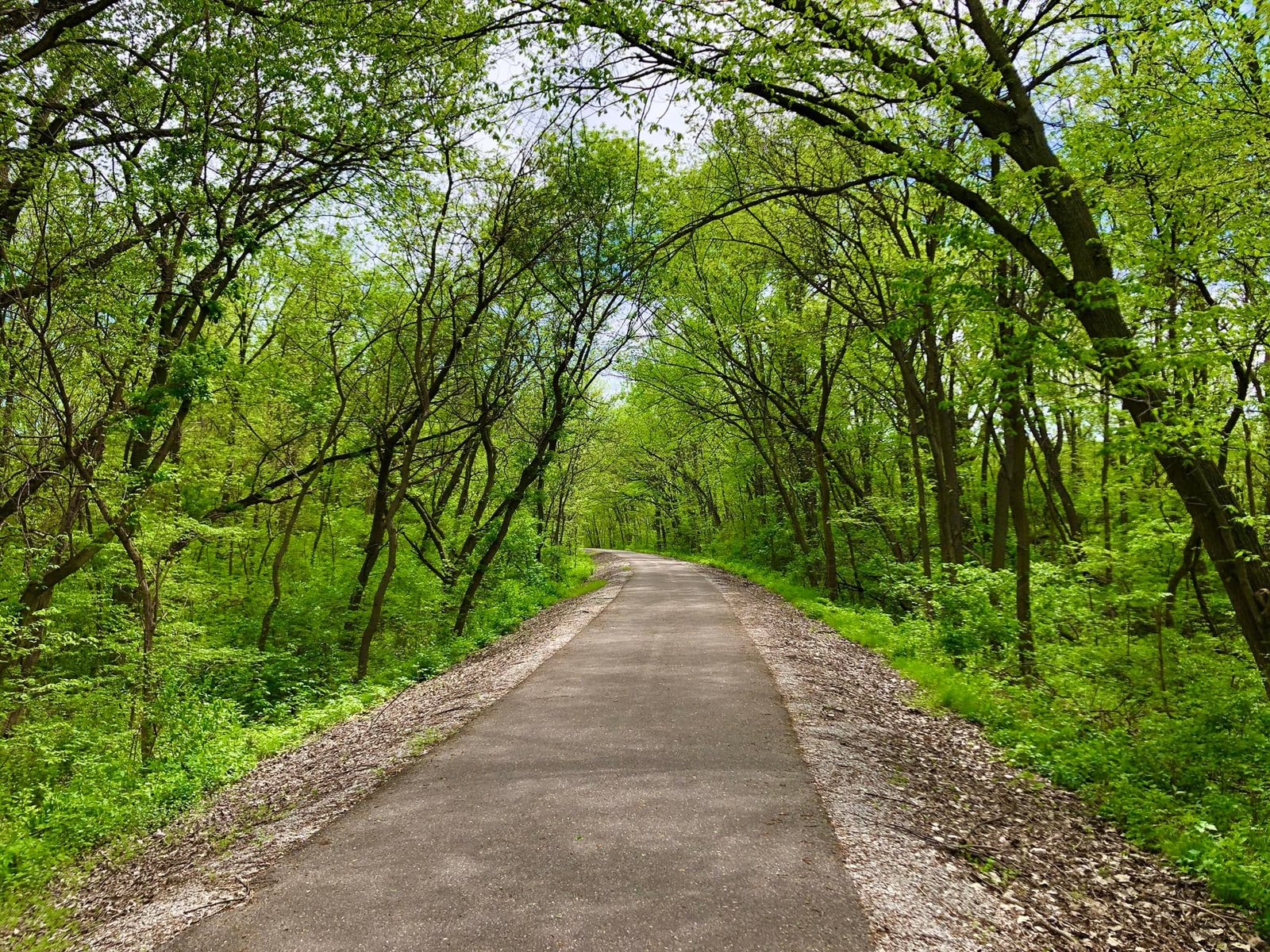 The tree-canopy tunnel of the Chichaqua Valley Trail in spring, just outside Benola's in Baxter